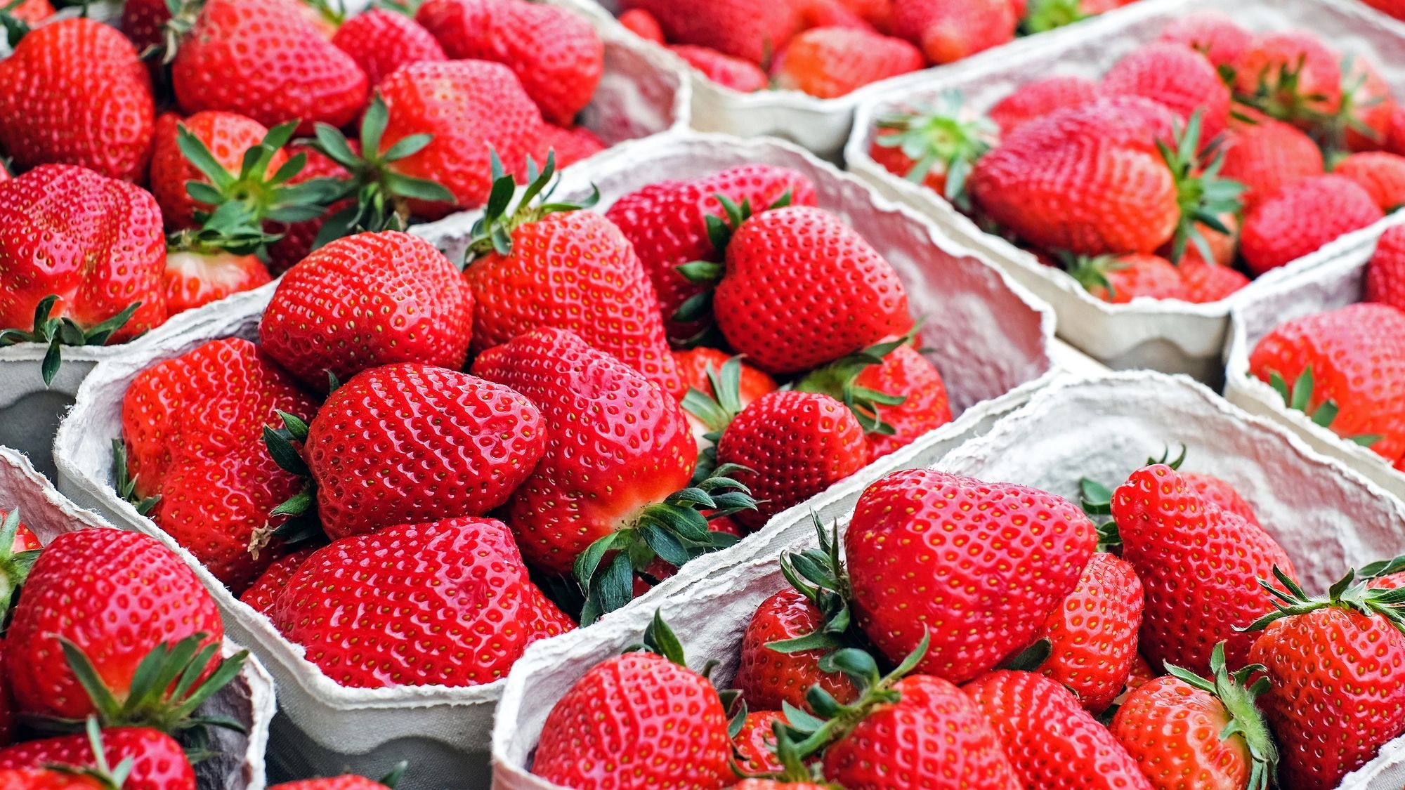 Hofladen Altes Land: Erdbeeren in Schalen